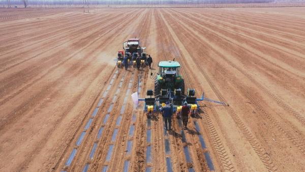 玛纳斯县11万亩制种玉米全面开播